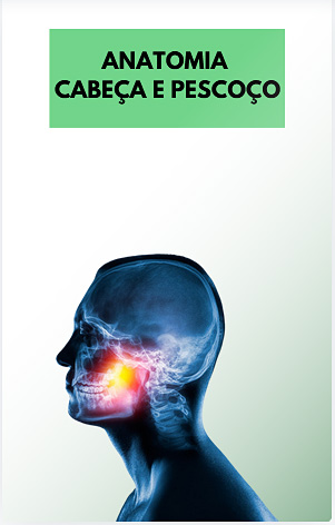 Anatomia Cabeça e Pescoço