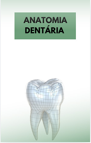 Anatomia Dentária