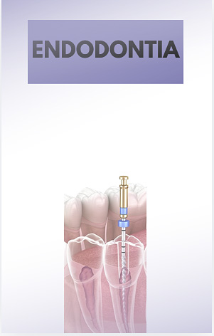 Endodontia