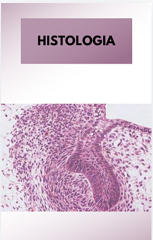 Histologia
