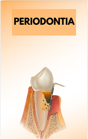 Periodontia